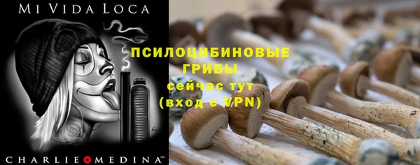 ПСИЛОЦИБИНОВЫЕ ГРИБЫ Балабаново