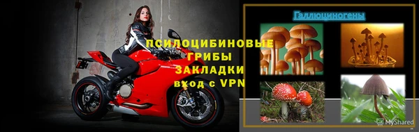 ПСИЛОЦИБИНОВЫЕ ГРИБЫ Балабаново