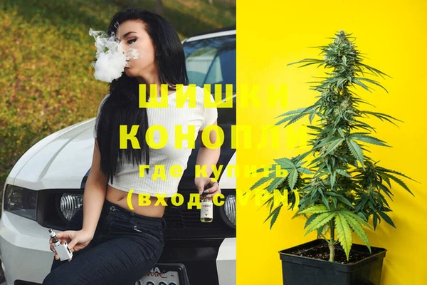 винт Баксан