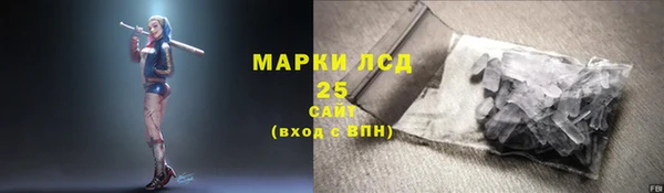 ПСИЛОЦИБИНОВЫЕ ГРИБЫ Балабаново