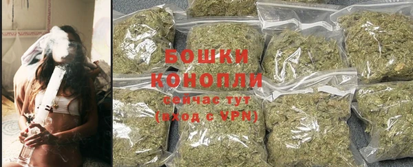 ПСИЛОЦИБИНОВЫЕ ГРИБЫ Балабаново