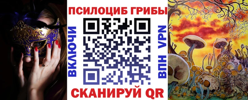Псилоцибиновые грибы Cubensis  закладка  кракен зеркало  Лениногорск 